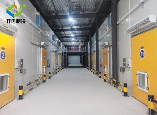 醫藥冷庫可儲存血漿疫苗藥物干細胞 醫藥冷庫可儲存血漿疫苗藥物干細胞