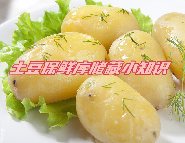 土豆保鮮庫(kù)儲(chǔ)存方法解析，延長(zhǎng)土豆保鮮期的秘訣