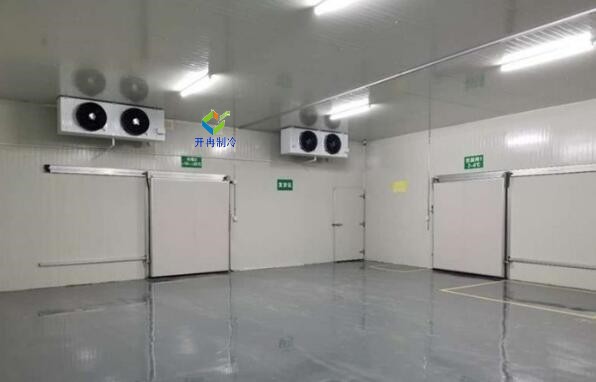 打造智能化電商生鮮冷庫(kù)，解鎖鮮活食材的流通奧秘