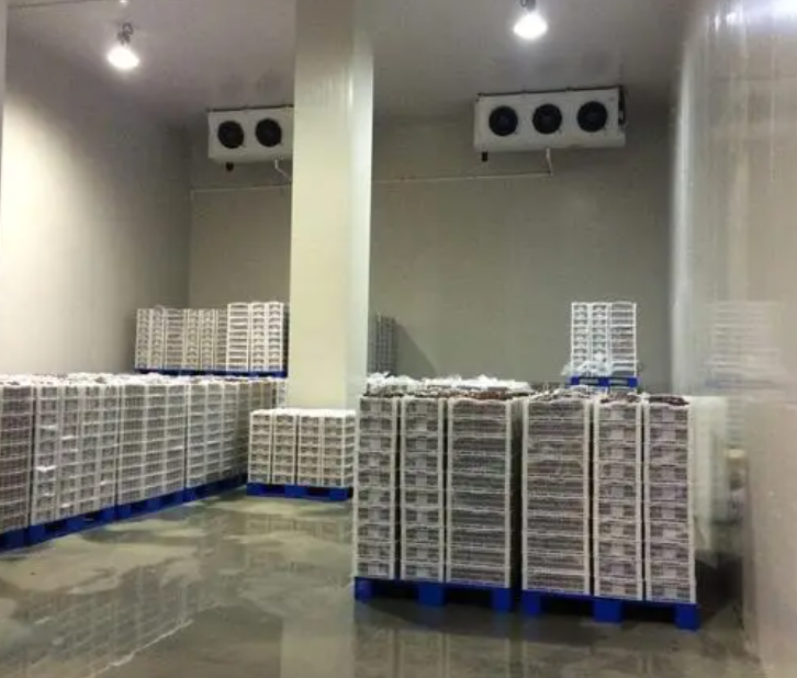 規(guī)范建造100平帶魚冷庫,為食品保鮮護航