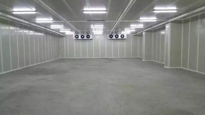 氣調(diào)保鮮冷庫(kù) 氣調(diào)保鮮冷庫(kù)