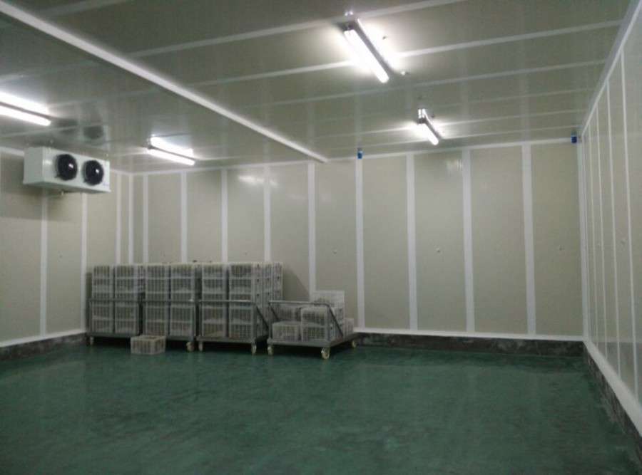 1632815702933516.jpg 1632815702933516.jpg