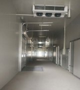 -25℃低溫海鮮魚肉加工廠冷凍庫安裝設計標準費用多少?
